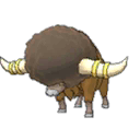 Bouffalant