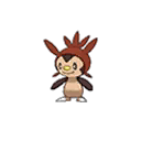 Chespin shiny