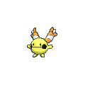 Chingling shiny