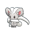 Cinccino