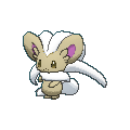 Cinccino shiny