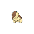 Cyndaquil shiny