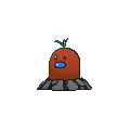 Diglett shiny