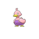 Ducklett shiny