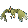 Fearow shiny