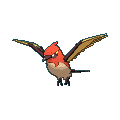 Fletchinder shiny