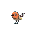 Fletchling shiny