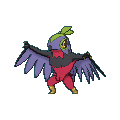 Hawlucha shiny