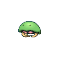 Kabuto shiny