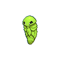 Kakuna shiny