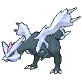 Kyurem shiny