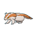 Linoone shiny