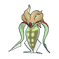 Malamar shiny