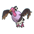 Mandibuzz shiny