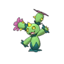 Maractus