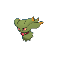 Misdreavus shiny