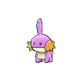 Mudkip shiny