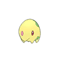 Munna shiny