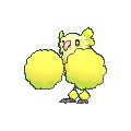 Pom-pom