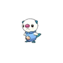 Oshawott shiny