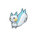 Pachirisu female