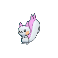 Pachirisu shiny