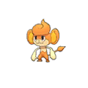 Pansear shiny