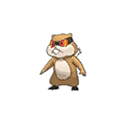 Patrat