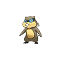 Patrat shiny