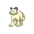Persian shiny