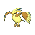 Pidgeot shiny