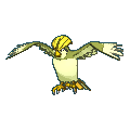 Pidgeotto shiny