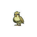 Pidgey shiny