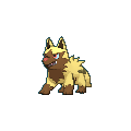 Poochyena shiny