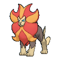 Pyroar (Male)