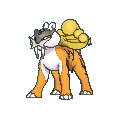 Raikou shiny