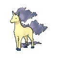 Rapidash shiny