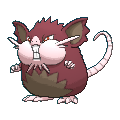 Raticate shiny