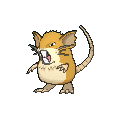 Raticate