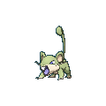 Rattata shiny