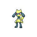 Riolu shiny