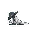 Salandit shiny