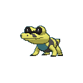 Sandile shiny