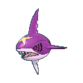 Sharpedo shiny