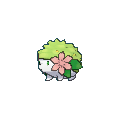 Shaymin (Land Forme)