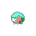 Shaymin shiny