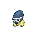 Shieldon shiny