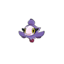 Spritzee shiny
