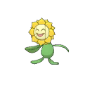 Sunflora