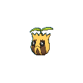 Sunkern shiny